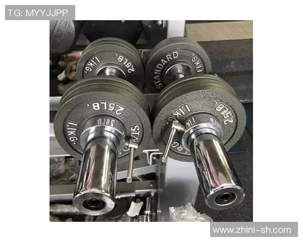 哑铃替代方案探索如何用简单工具实现全面健身效果