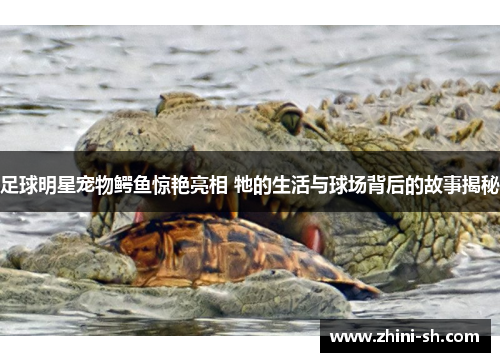 足球明星宠物鳄鱼惊艳亮相 牠的生活与球场背后的故事揭秘