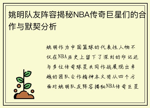 姚明队友阵容揭秘NBA传奇巨星们的合作与默契分析